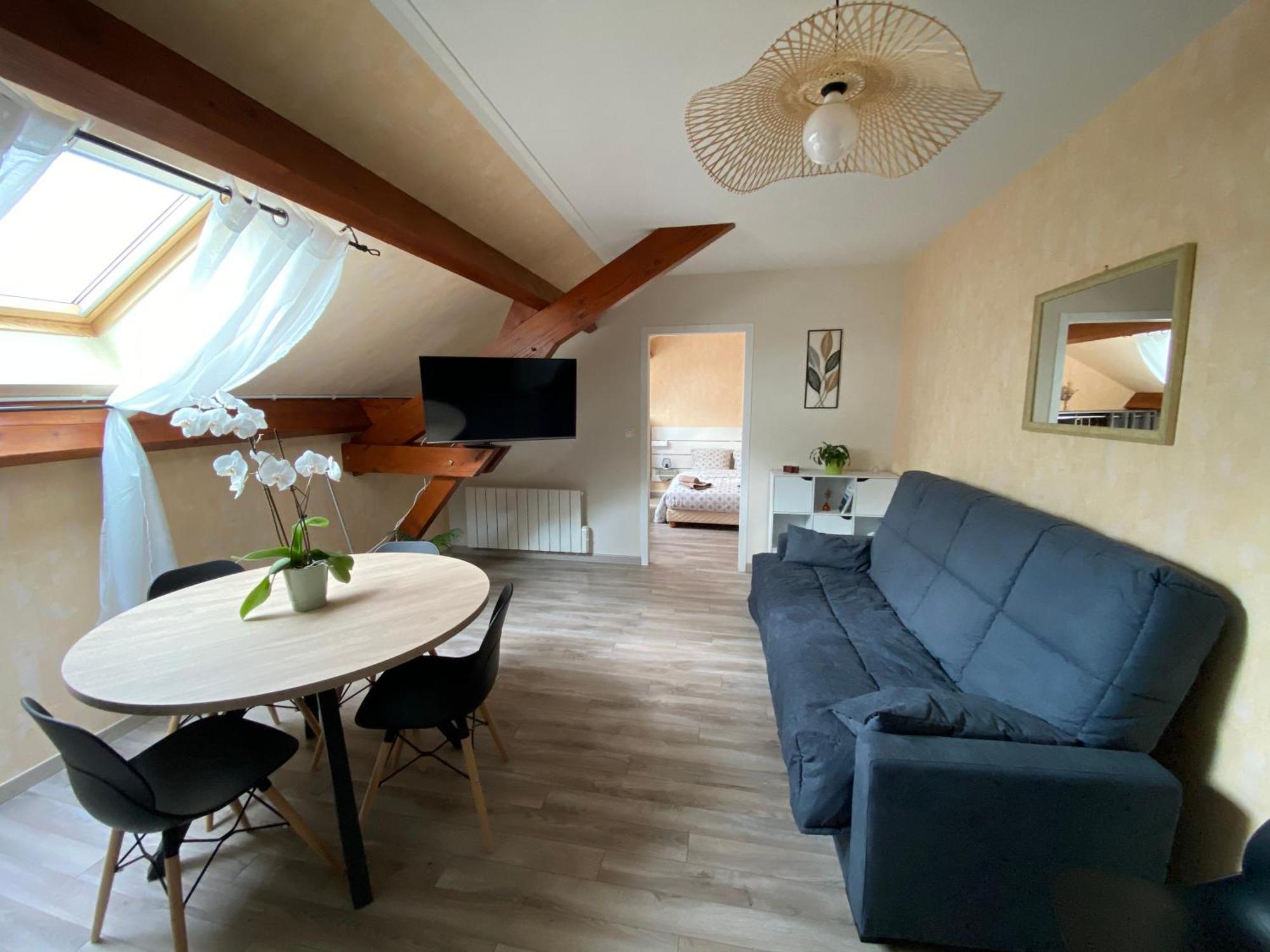 Entre Vulcania Et Le Sancy Apartment