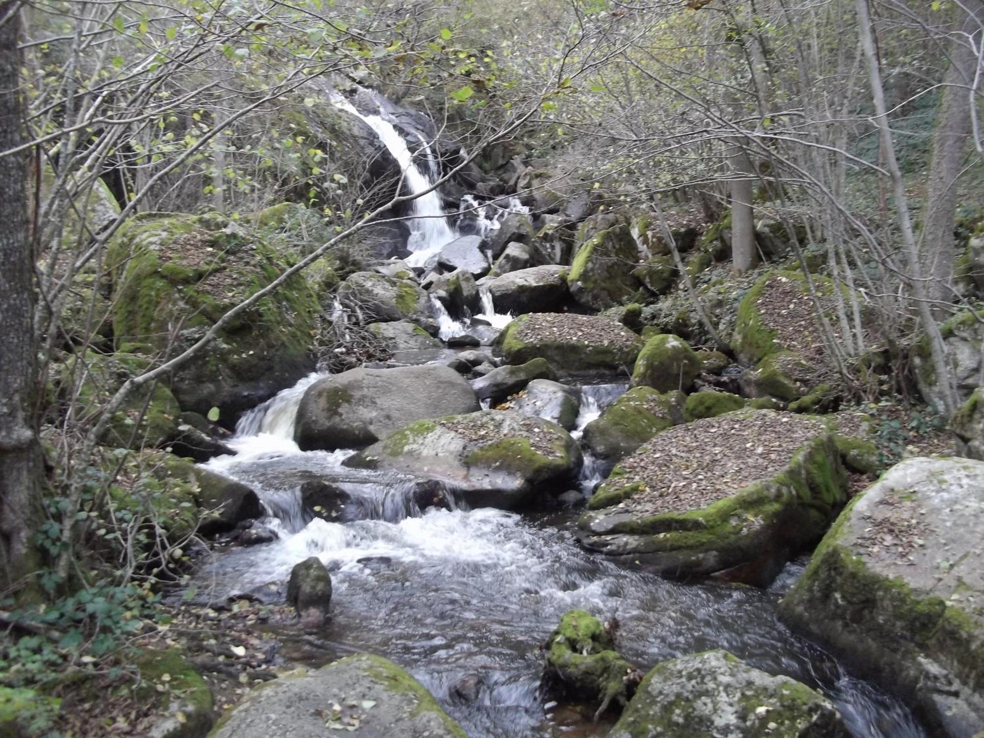 Entre Vulcania Et Le Sancy *